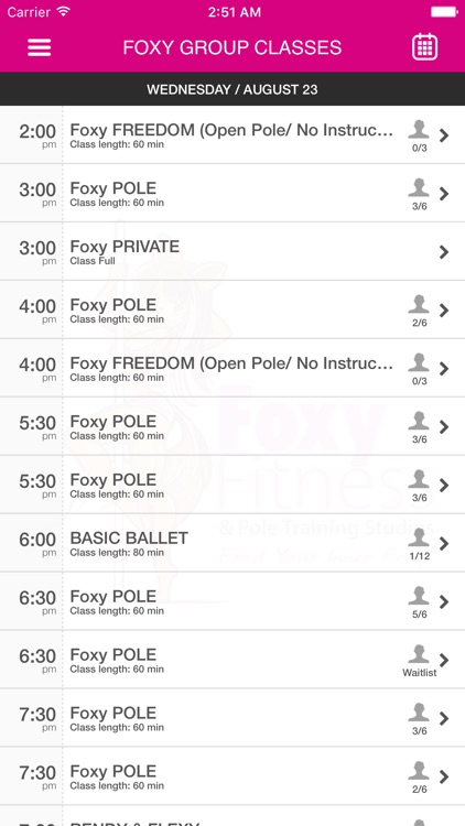 Foxy Fitness and Pole