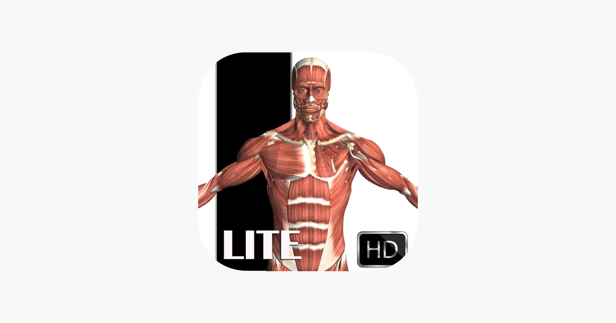 Students for muscle websites Biology for