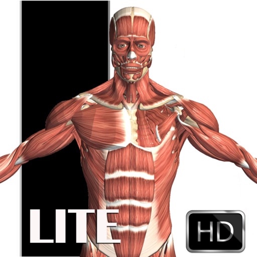 Visual Anatomy Lite iOS App