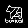 Bovical