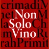 NonSoloVino