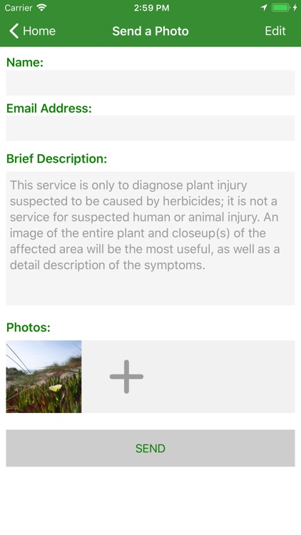 Herbicide Injury ID