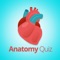 How much do you know about the human body