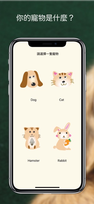 寵物幾歲了?(圖2)-速報App