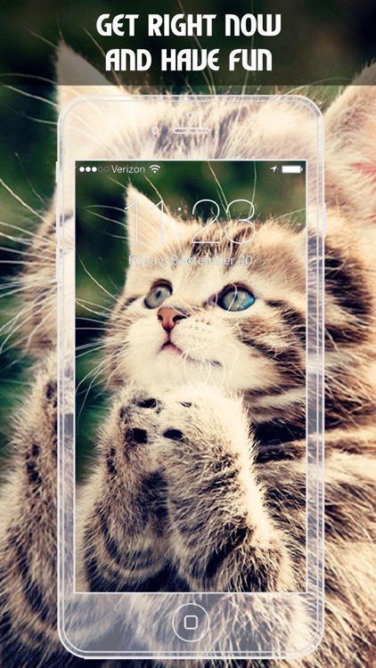 Cat HD Wallpapers screenshot-4