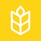 Kneady is the #1 bread-baking app, made for bakers of all levels