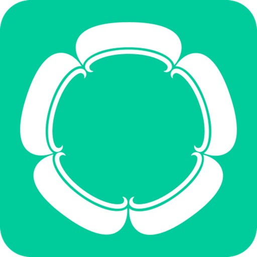 Copilot - Safe driving partner iOS App