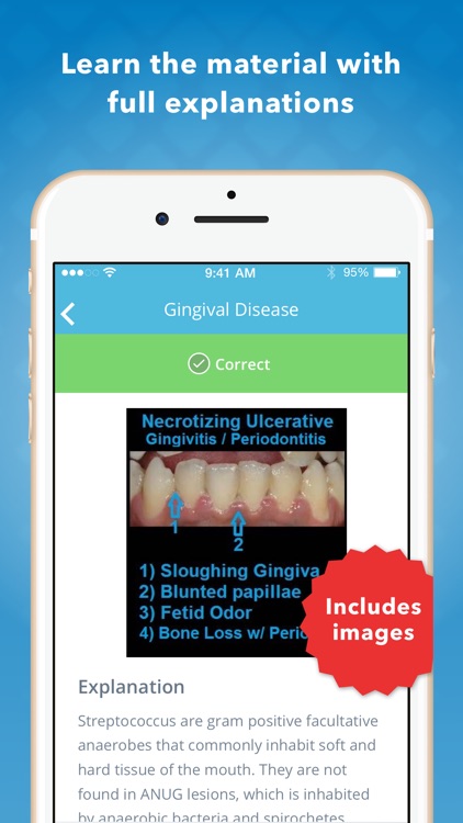 Dental Hygiene Mastery: NBDHE