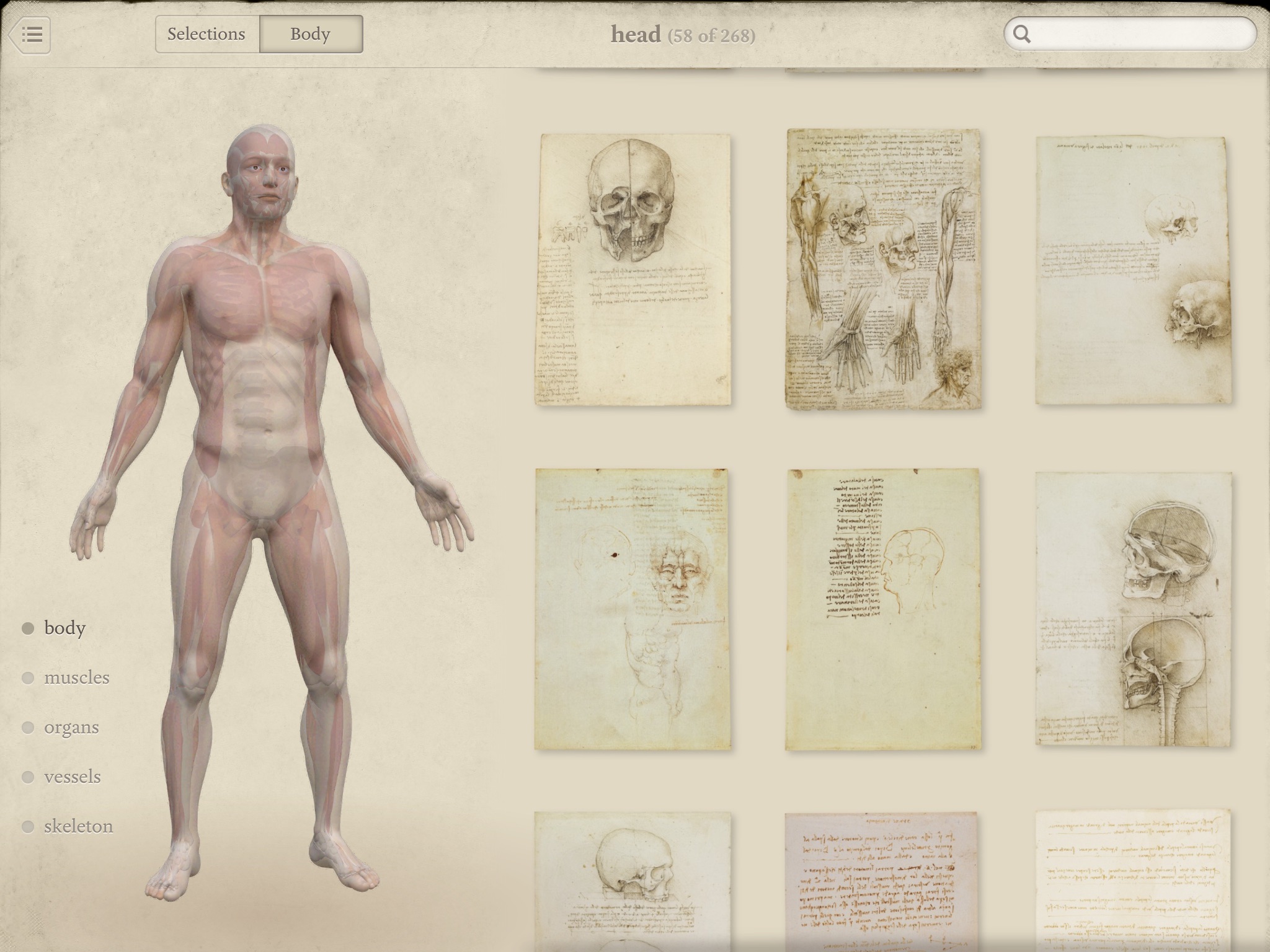 Leonardo da Vinci: Anatomy screenshot 3