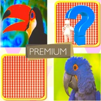Match Card Pair  Premium