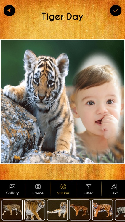 International Tiger Day Frames