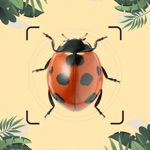 Insect id Bug identifier