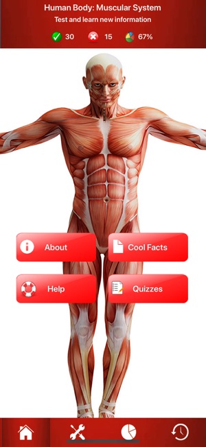 Human Muscular System Trivia(圖1)-速報App