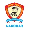 State Public School Nakodar