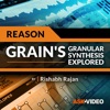 Grains Guide for Reason 10