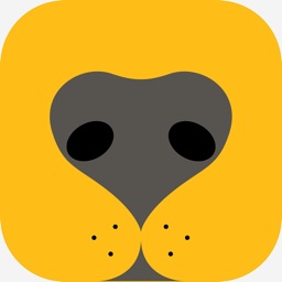 Booper - Dog Social Network