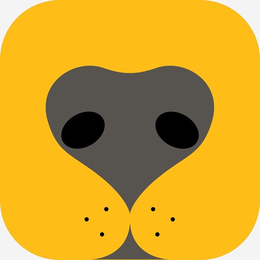 Booper - Dog Social Network