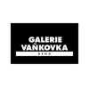 Galerie Vaňkovka App Delete