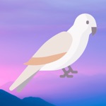 Parrot - Colorful Filters