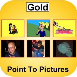 Point to Pictures - Gold