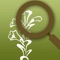 Within this app, you can search for wildflowers based on their growth habit, flowering season and the flower colour