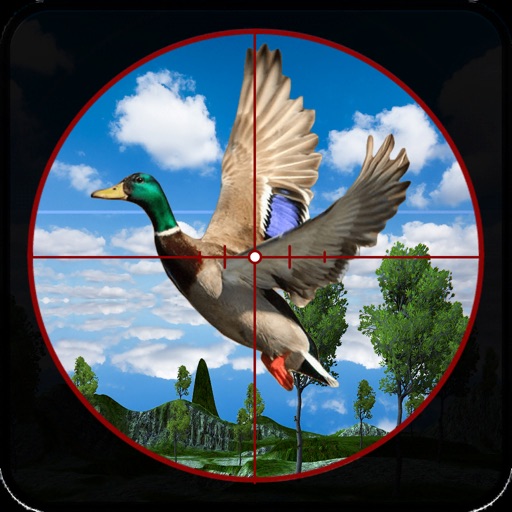 Safari jungle Bird hunting 3D icon