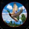 Get your mobile loaded with the pack of birds, duck, kiwi, and other jungle birds and take your archer attack on a new king level, shoot all the birds by safari hunting game with your sniper gun in this jungle bird hunting, bird shoter game
