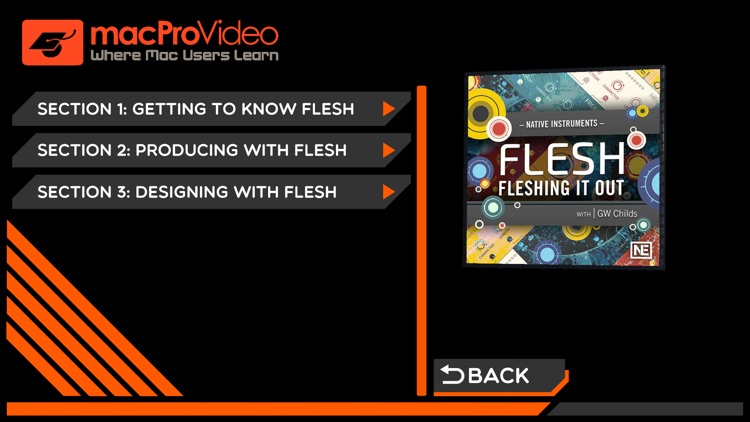 Fleshing It Out : Flesh 101