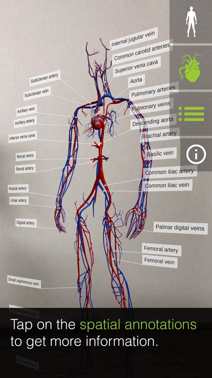 INSIGHT HEART screenshot-3