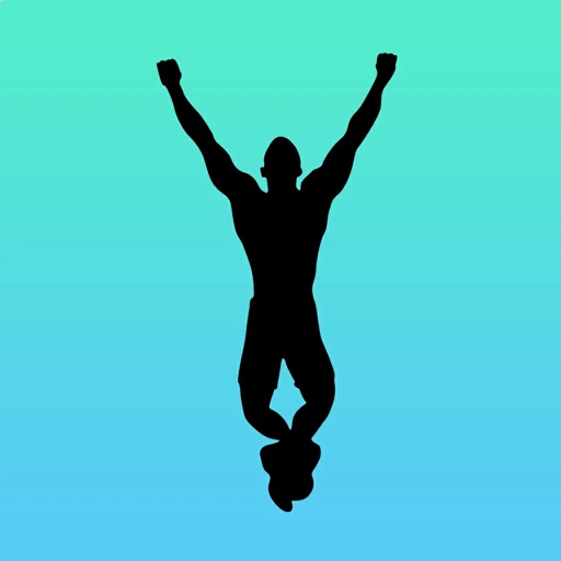application icon