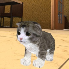 Activities of Kitten Cat Simulator 3D