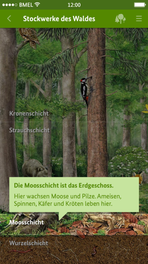 Entdecke Den Wald – Ferderzentrum.org