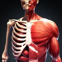 Contact Human Body Atlas: 3D Medical