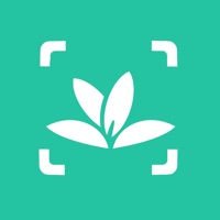 delete Plant identification-Identify