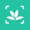 Plant Recognition—Fast and accurate plant recognition app based on artificial intelligence