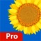 Gallery Pro is an excellent feature of rich Photo hide app for keep safe organizing hide photos