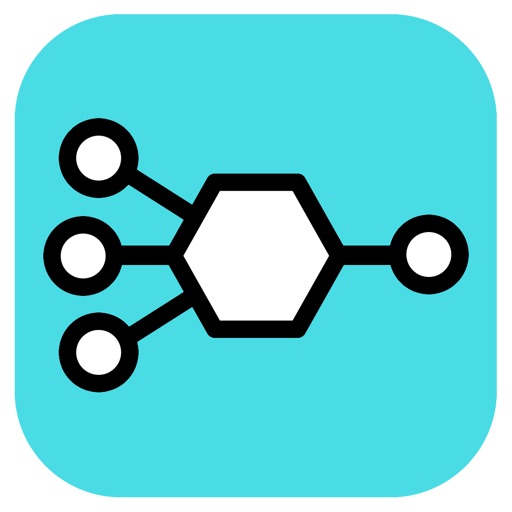Neural Networth