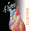 Netter's Anatomy Atlas 7e