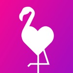 Flamingo Binge-worthy Romance