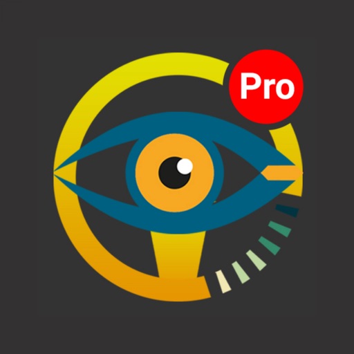 Driving Instructors Pro