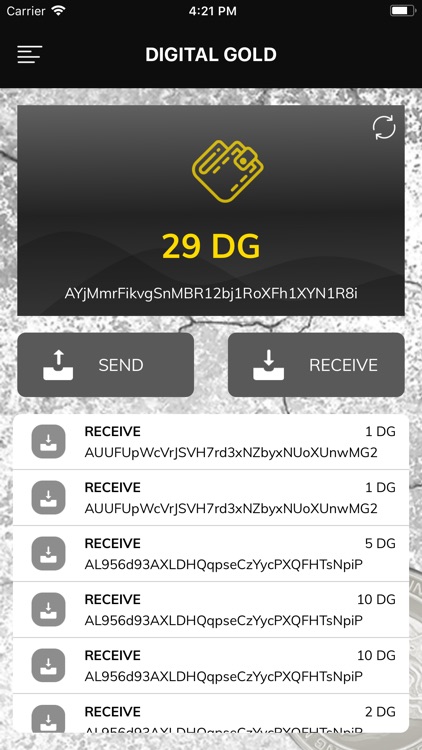 DG Wallet