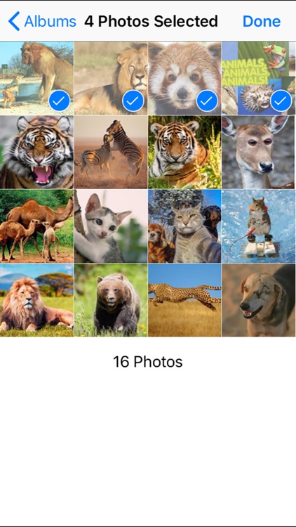 Random Image Select
