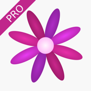 Menstrual Period Tracker Pro