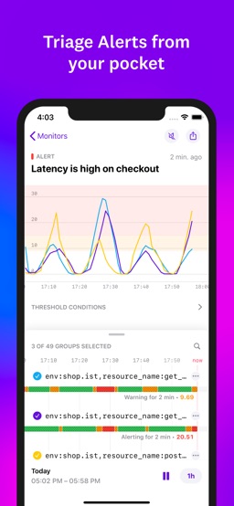 Datadog app screenshot