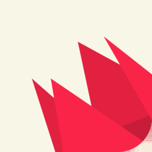 Shapes - 3D Geometry Learning