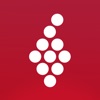 Vivino App Icon