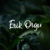 Erik Orgu – elu ilma dieedita