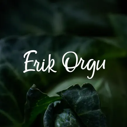 Erik Orgu – elu ilma dieedita Читы