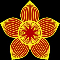 Lotus - Bông sen Việt Nam