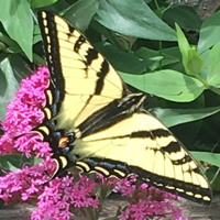 XTSequel Fast database client